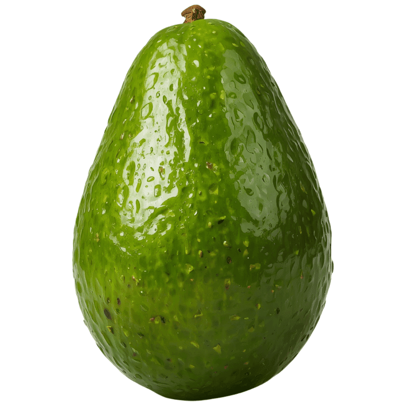 Aguacate Injerto