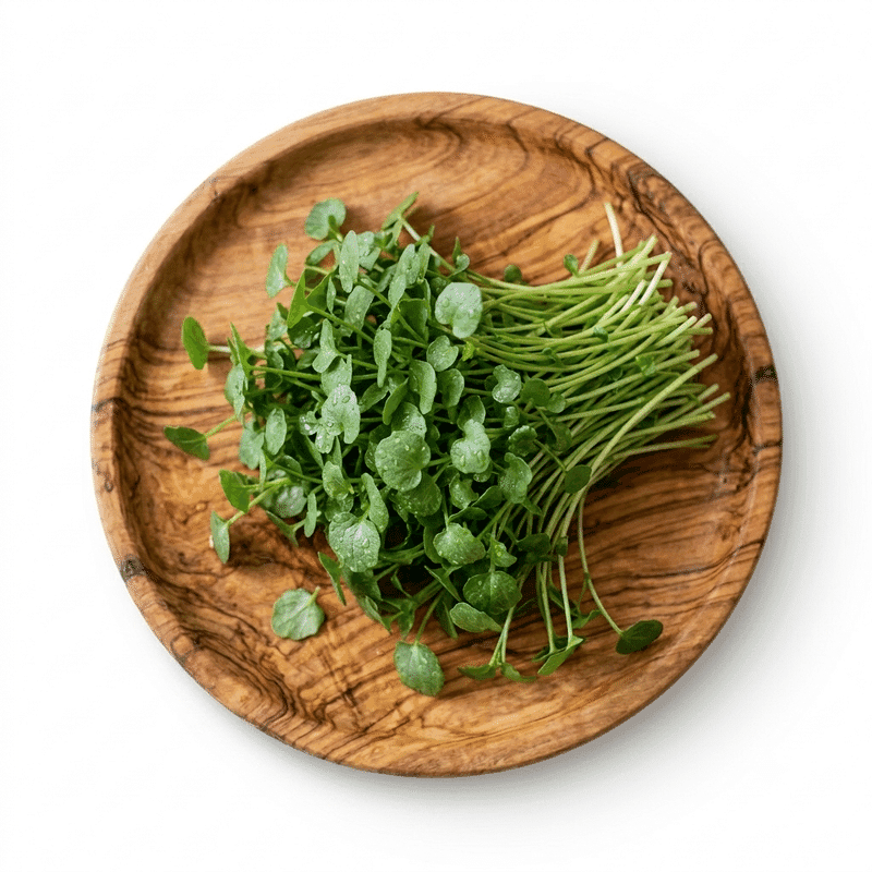 Microgreen Berro