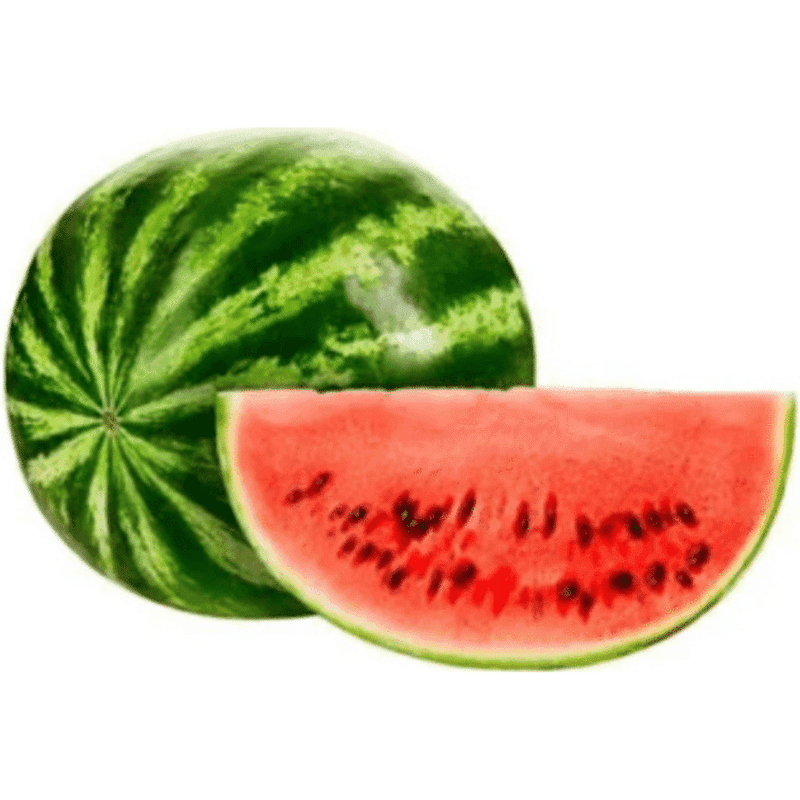 Patilla