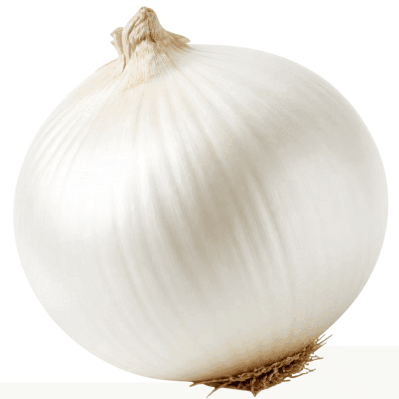 Cebolla Blanca