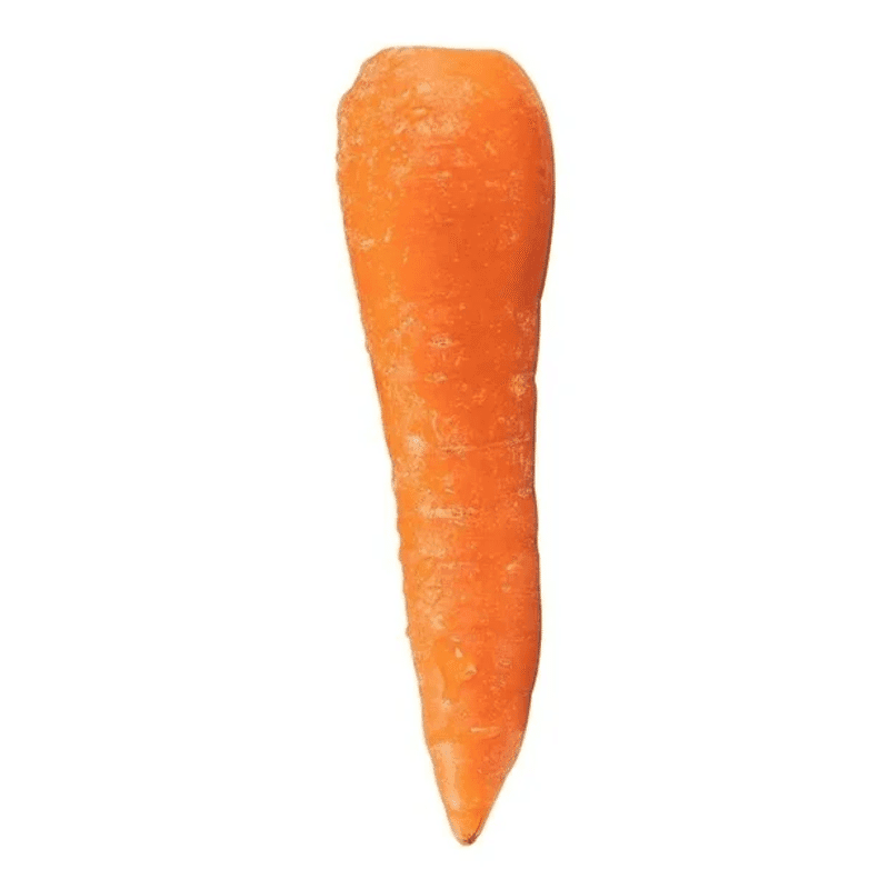 Zanahoria