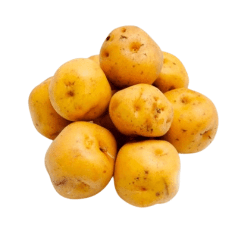 Papa Colombiana KG