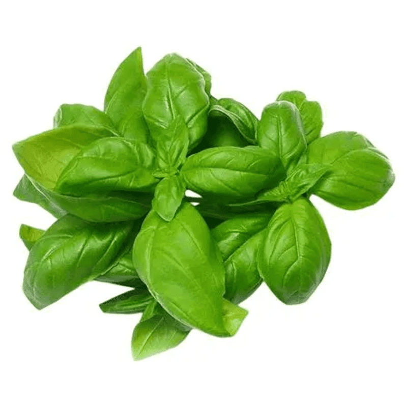 Albahaca Mundo Agrícola 30GR