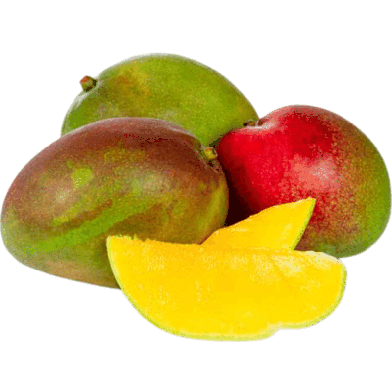 Mango Injerto