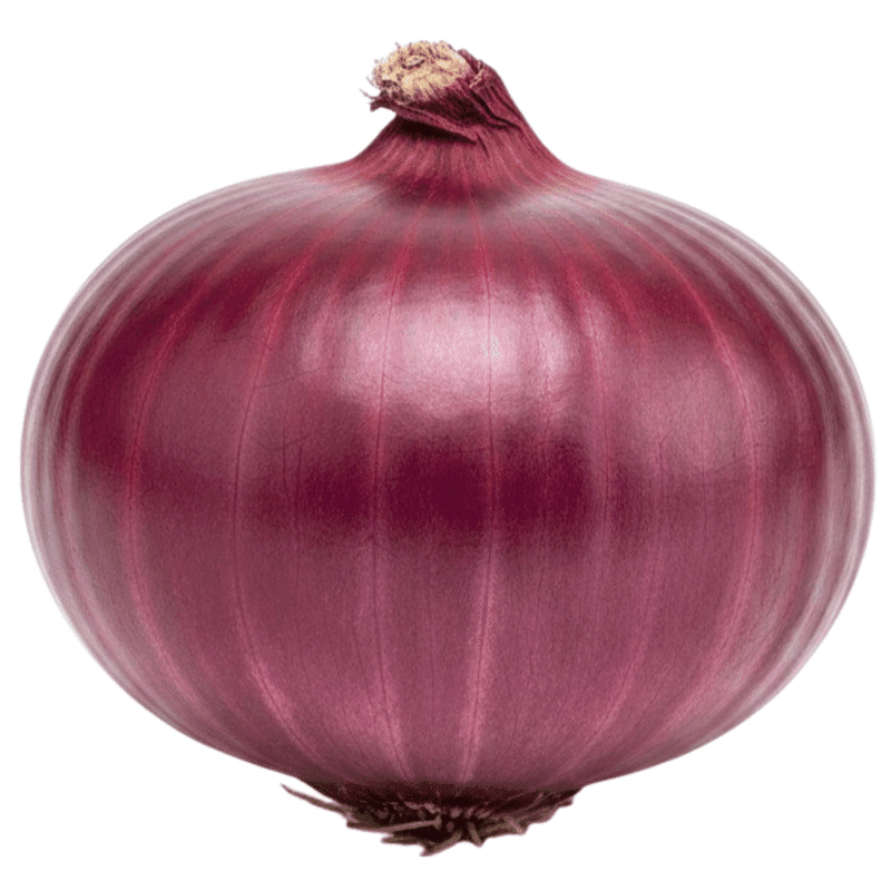 Cebolla Morada